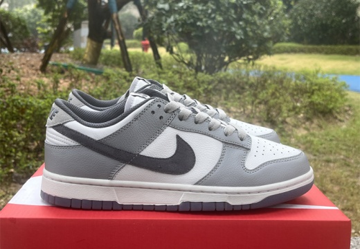 Nike Dunk Low Retro SE White Light Carbon FJ4188-100 36-46 M84